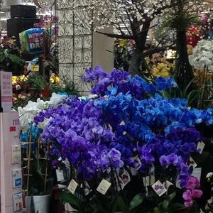 Meet your Posher, Rachelle